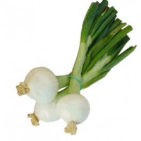 Cebolleta
